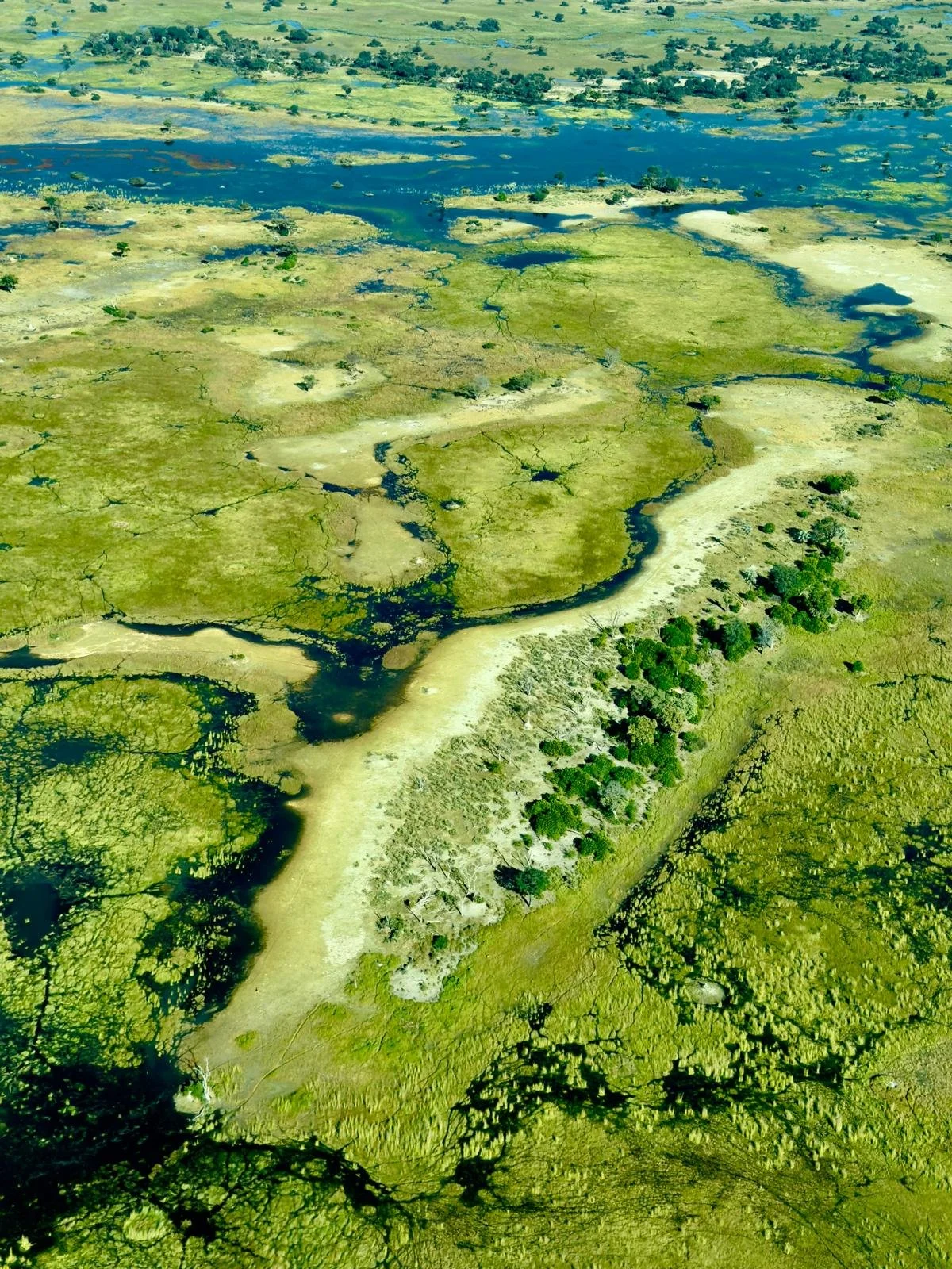 okavango. 4.jpeg