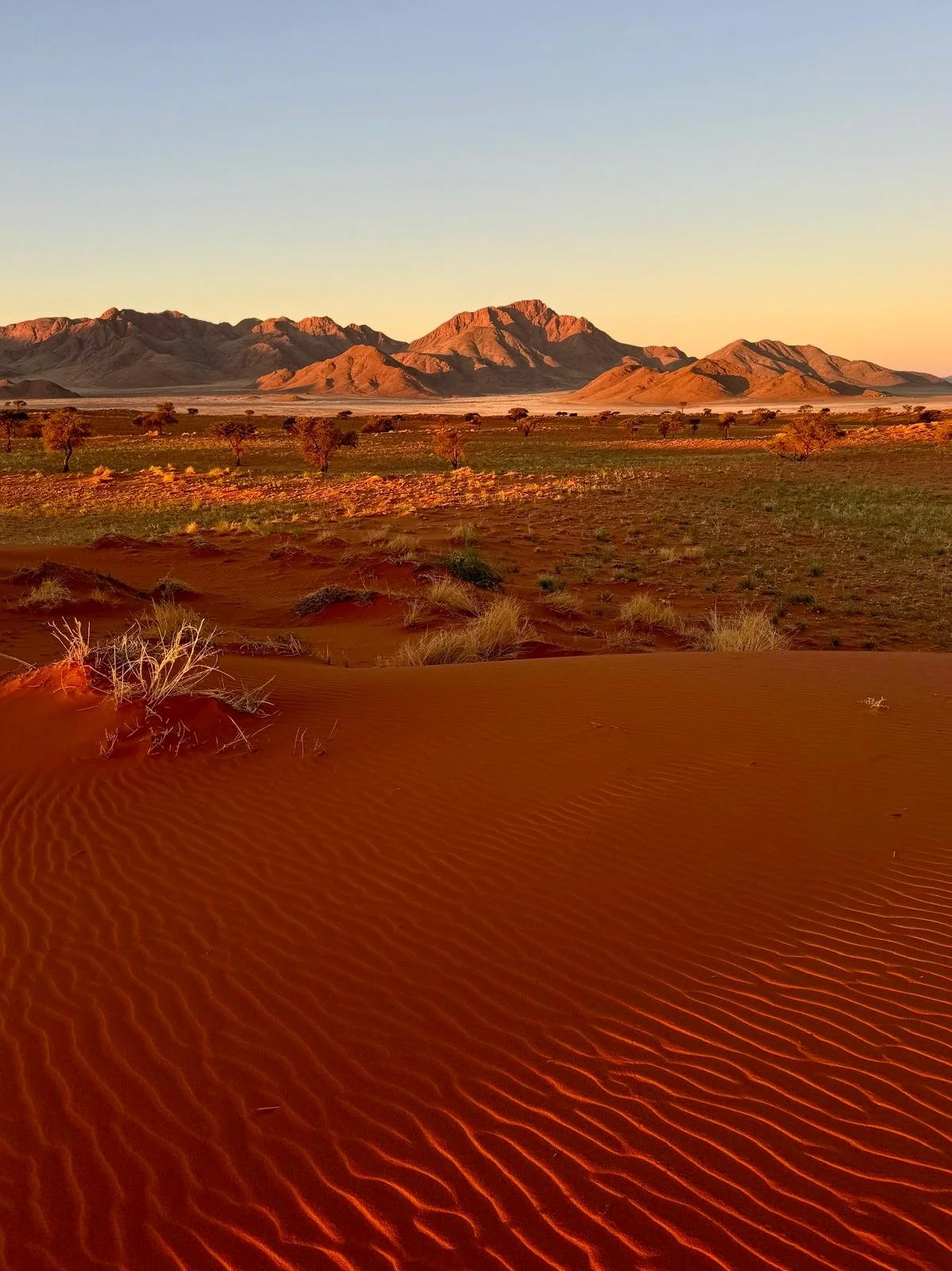 NamibRand sunset.jpeg