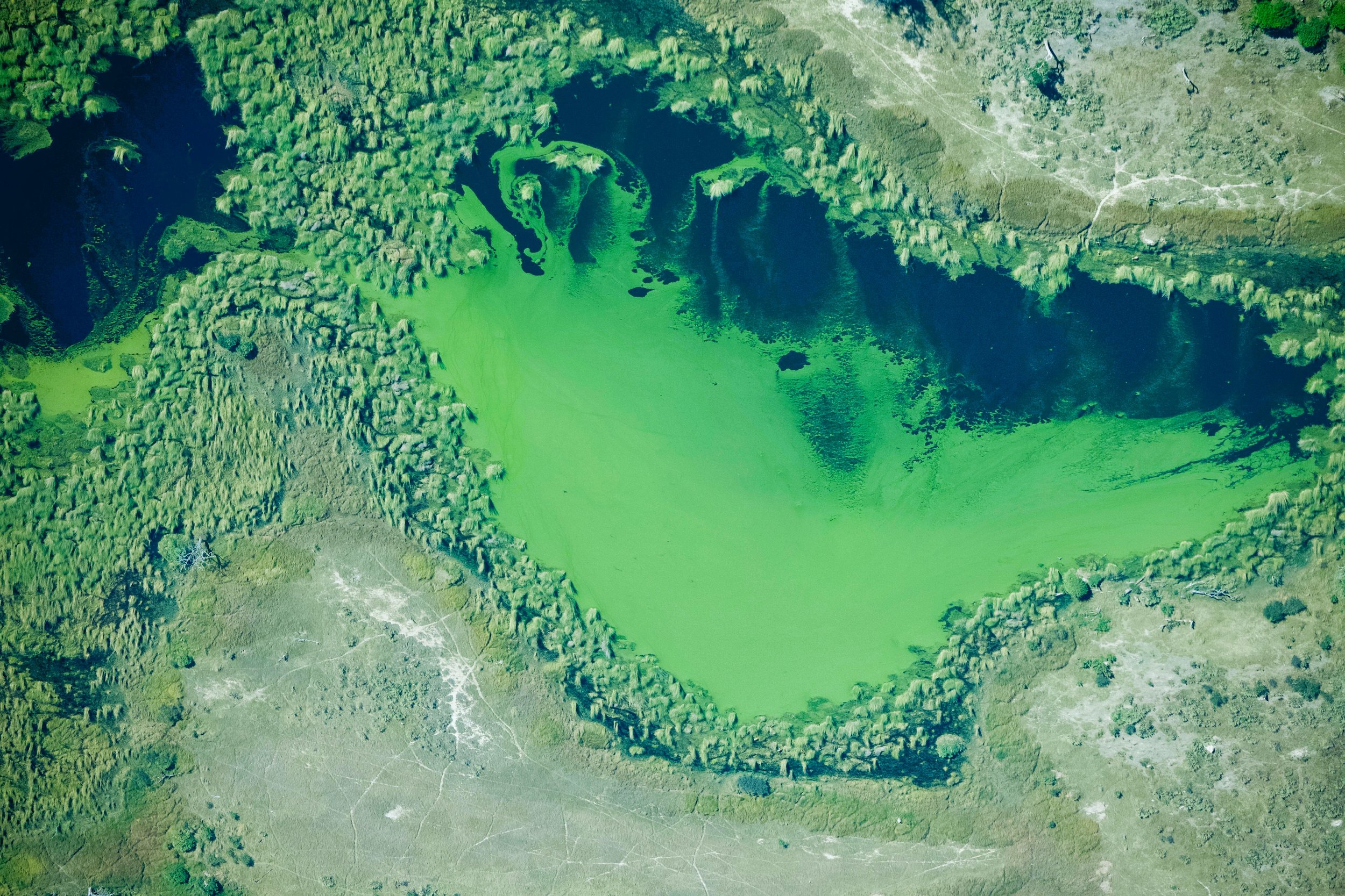 Okavango Delta from the sky