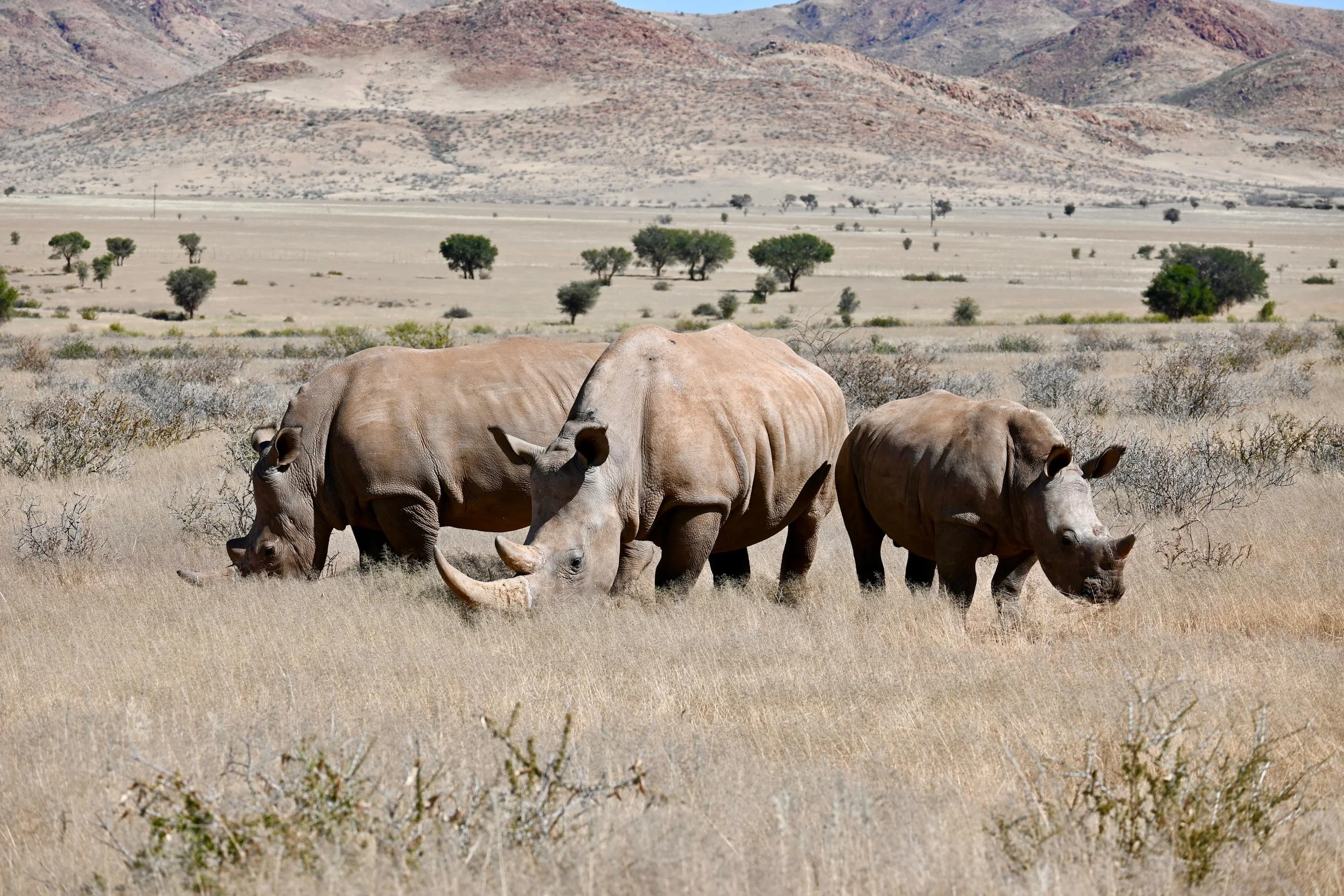 WhatsApp Image 2025-12-26 at 10.32.07.jpeg