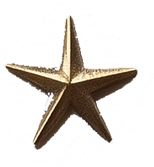 Gold star ornament against a white background