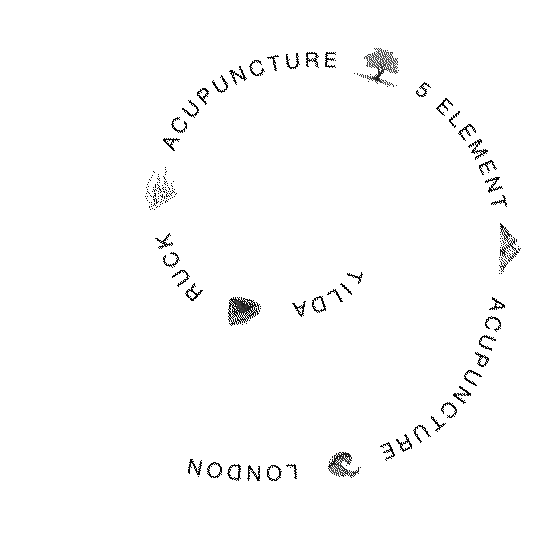 Circular diagram with icons and text about the five elements: Earth, Air, Water, Fire, and Void, each associated with a different element and represented by respective icons.