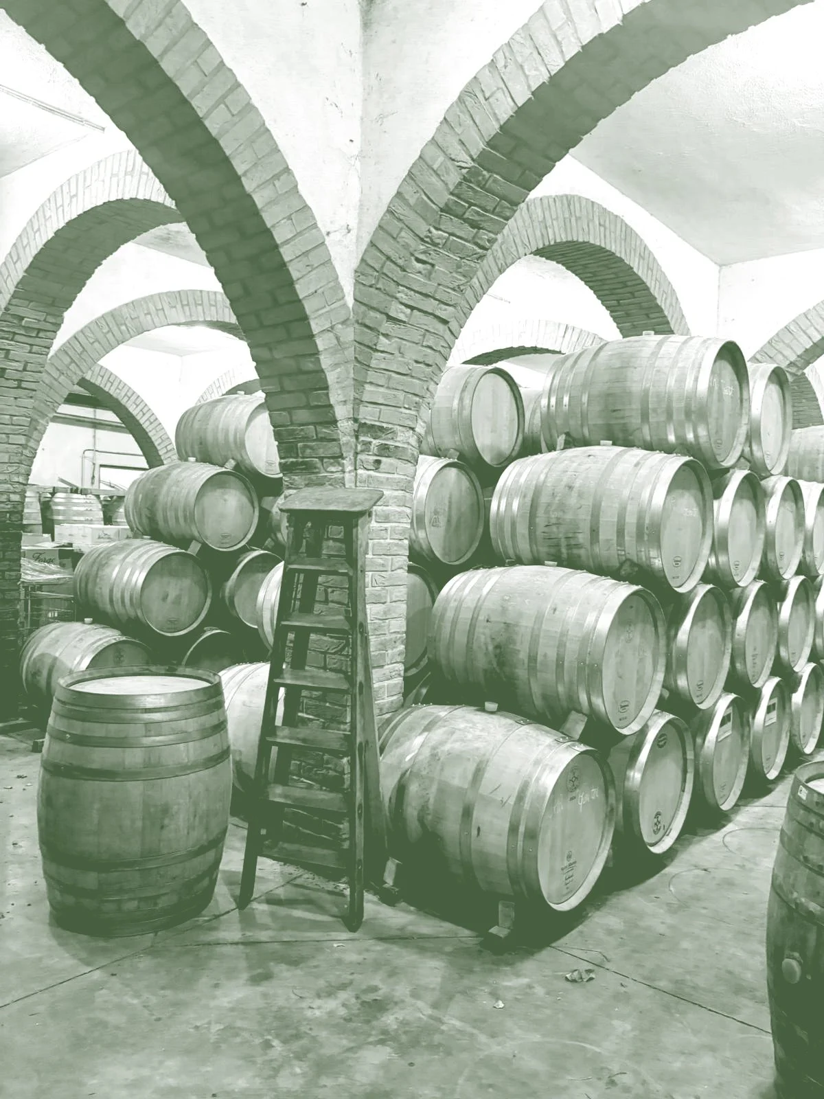 Une cave de vieillissement de vin avec des barils en chêne empilés sur des étagères en acier, soutenues par des arches en briques.