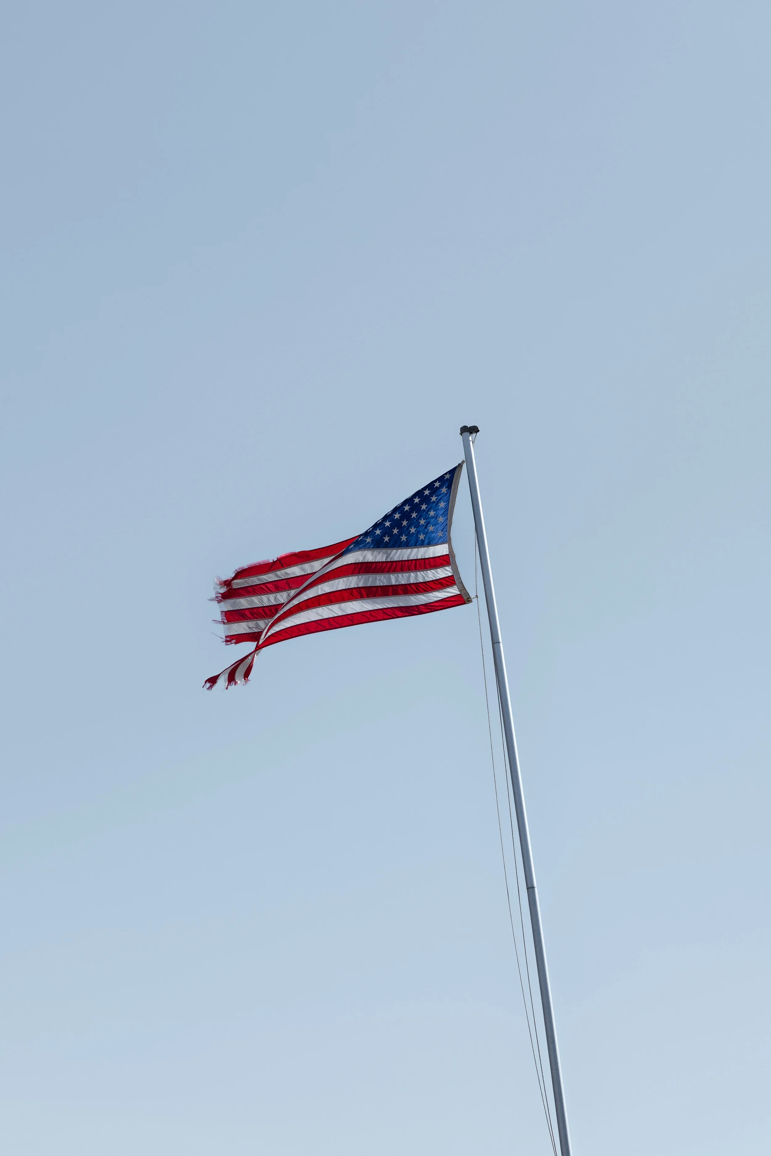 P1036941.jpg