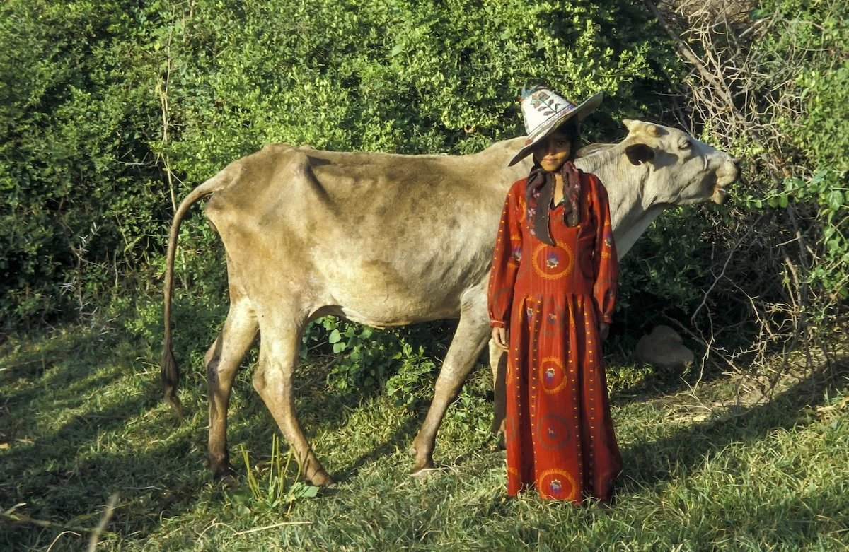 A young girl in a long red dress and large hat standing next to a light-colored cow in a green outdoor setting.