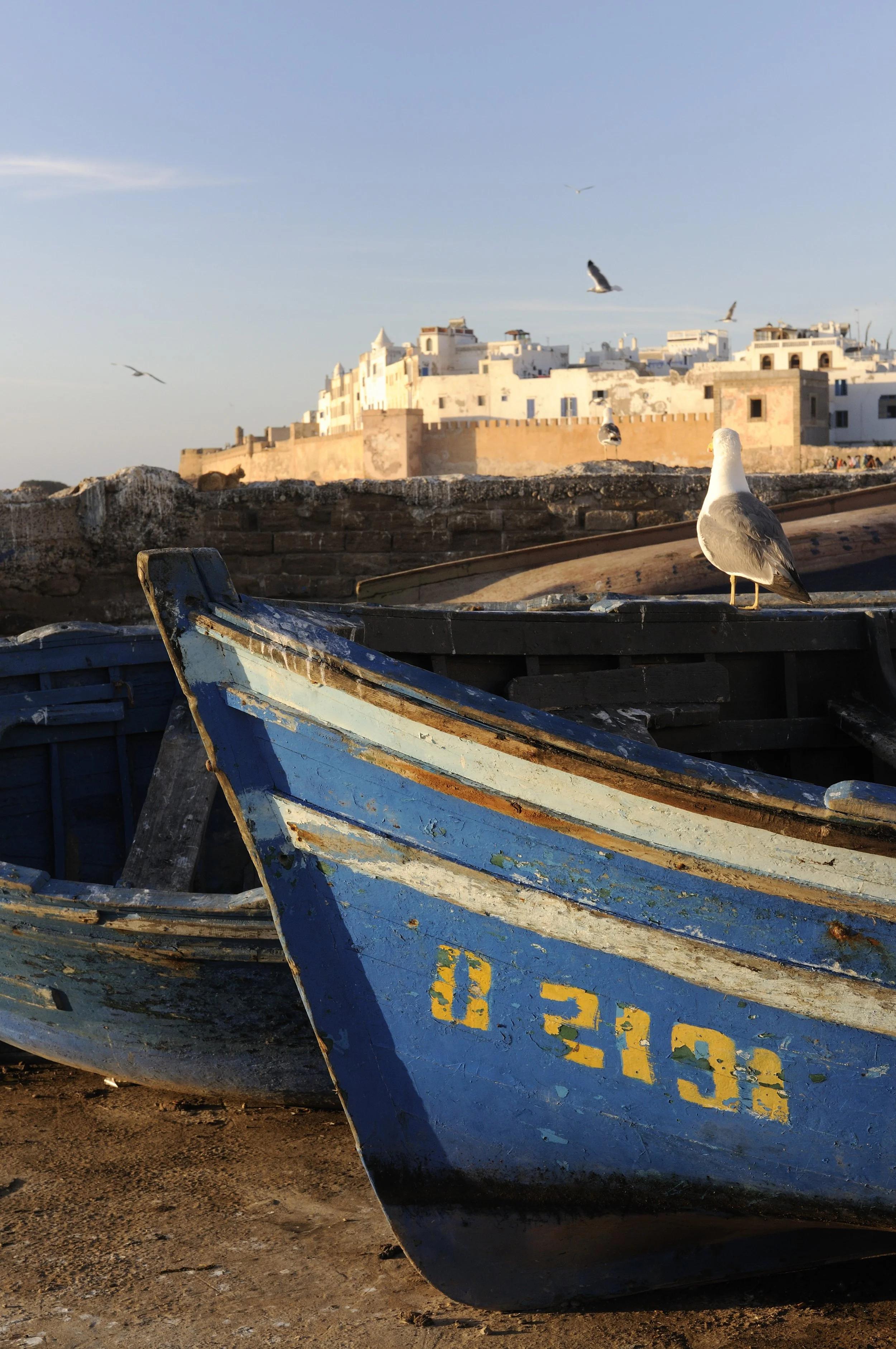 Essaouira638.jpg
