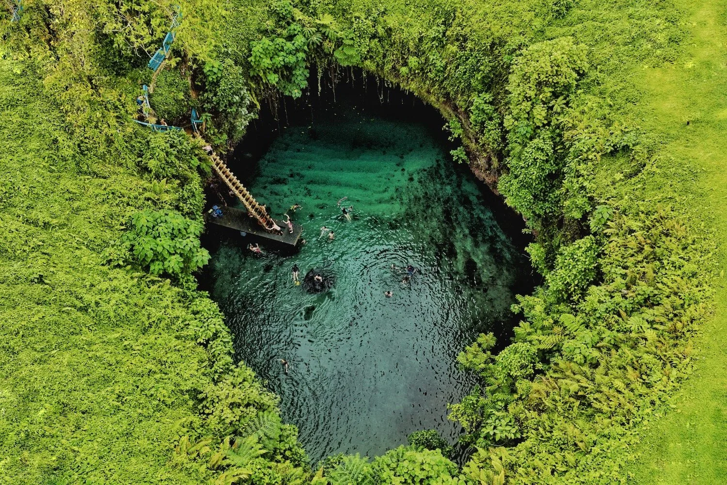 A circular cenote surrounded by lush green foliage with people swimming and a wooden staircase leading down into the water.
