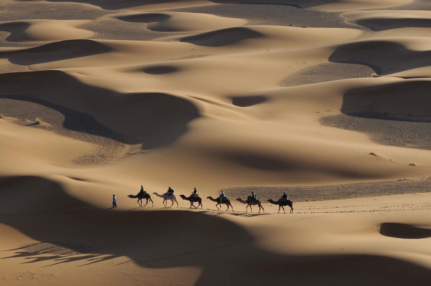 A line of people riding camels across sand dunes in a desert with shadows cast by the dunes.