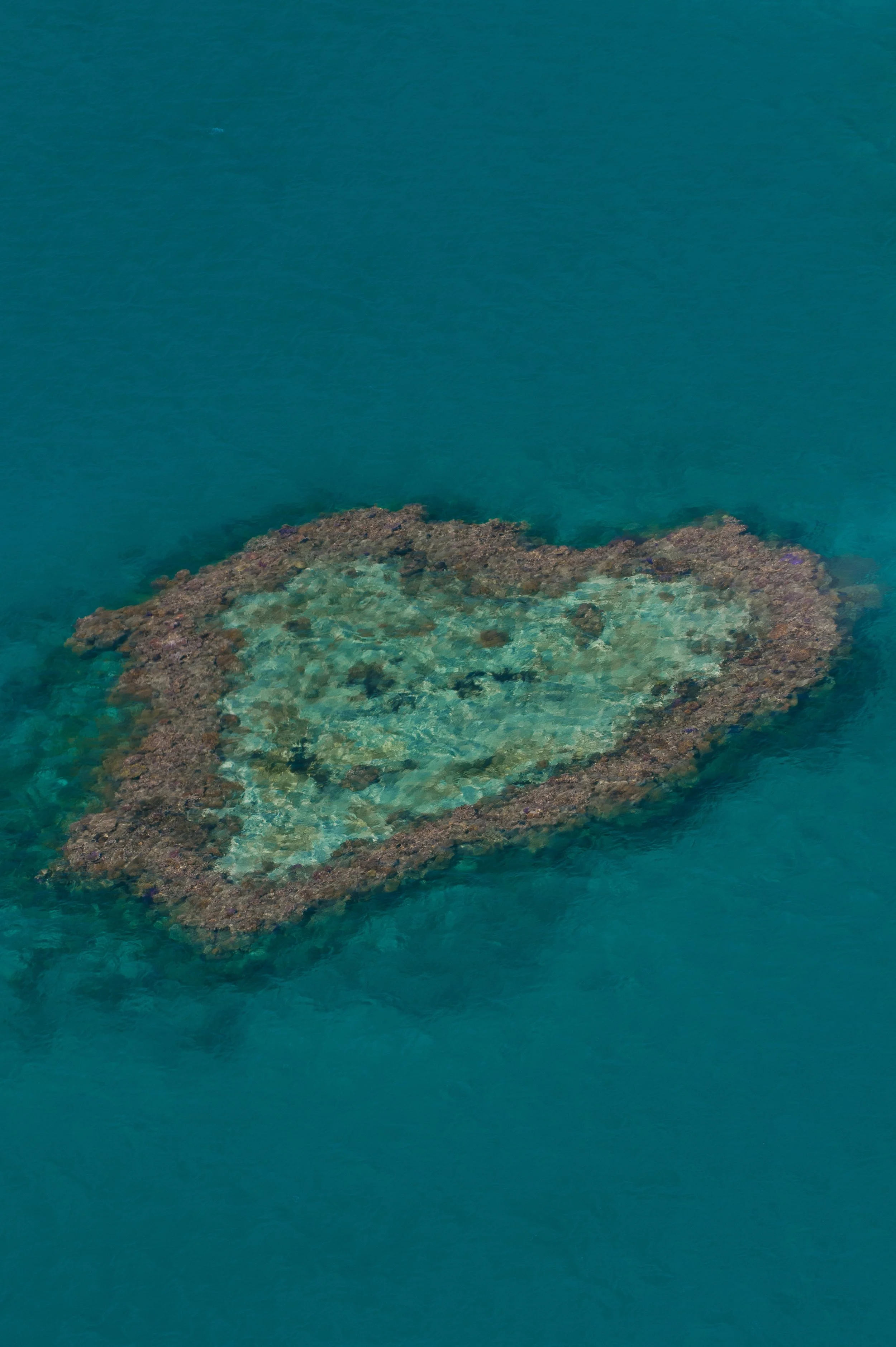 GrandBarrierReef1552.jpg