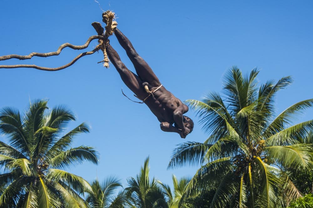 A man is diving headfirst from a tree branch in a tropical setting with palm trees and a clear blue sky.