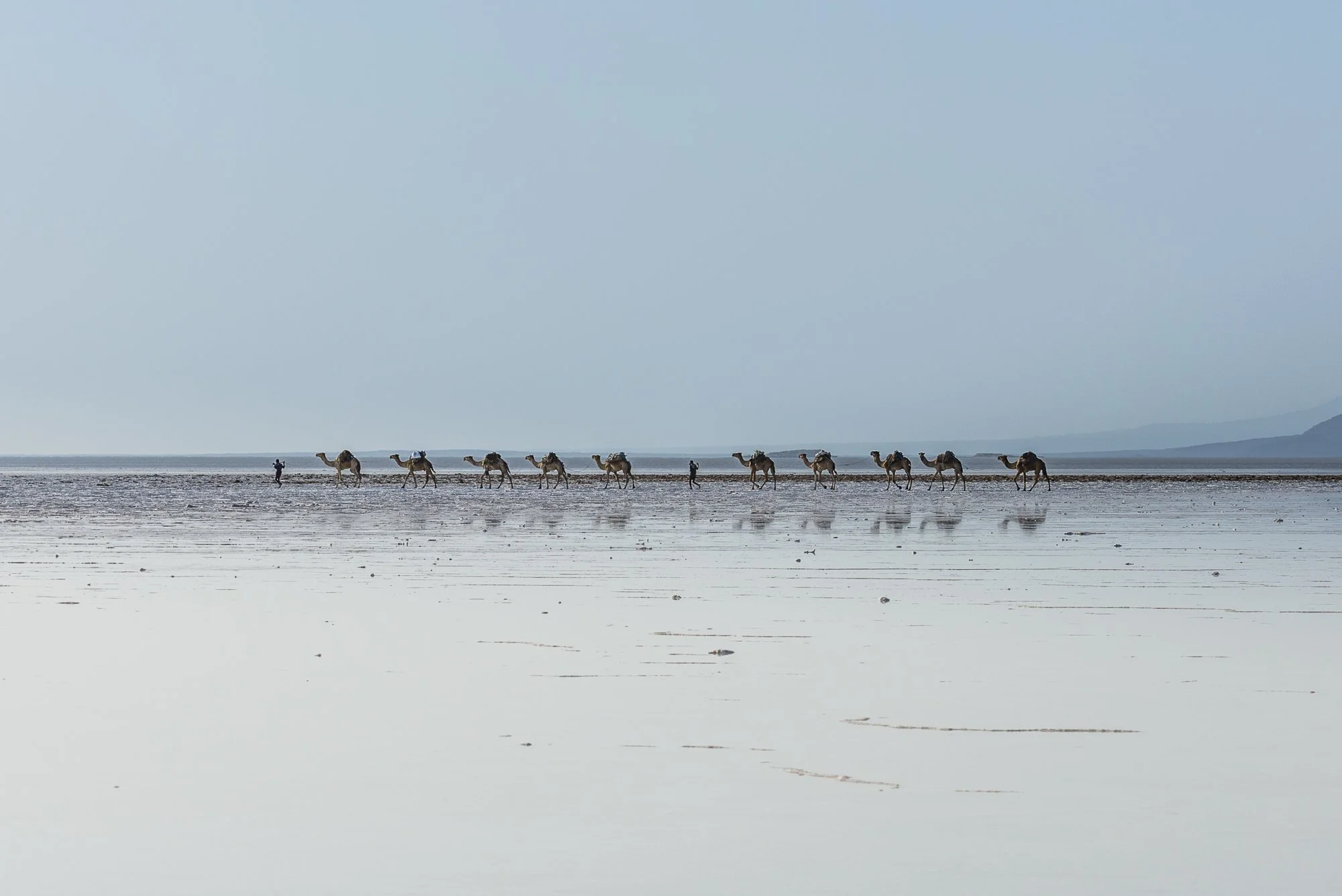 Danakil-626.jpg