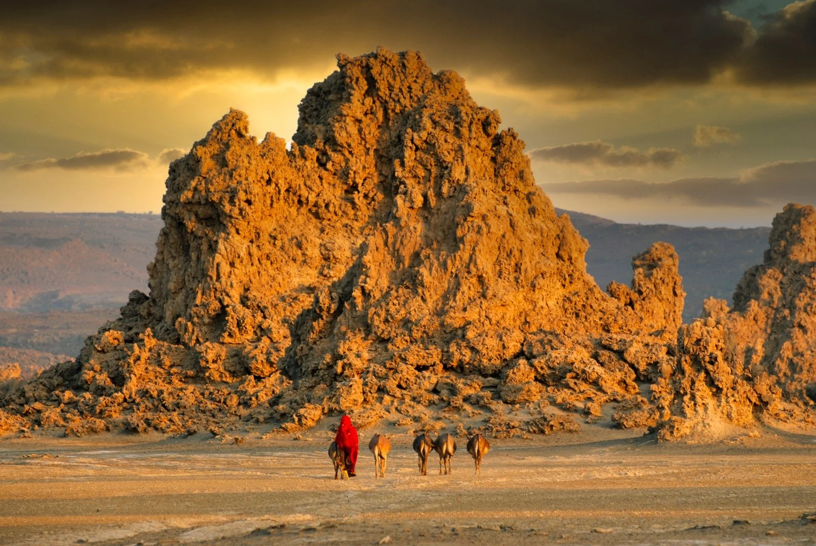 WhatsApp Image 2026-02-09 at 13.44.16 (2).jpeg