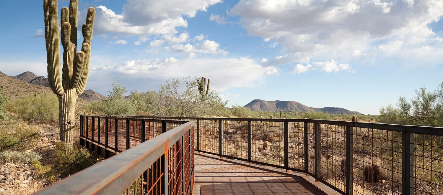 behind the mcDowell Sonoran preserve visit 