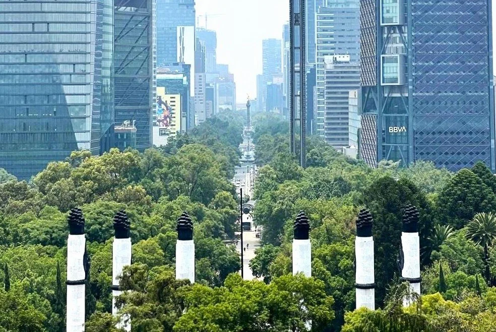 Walking the City’s Forest: What Chapultepec Taught Us About Public Landscape