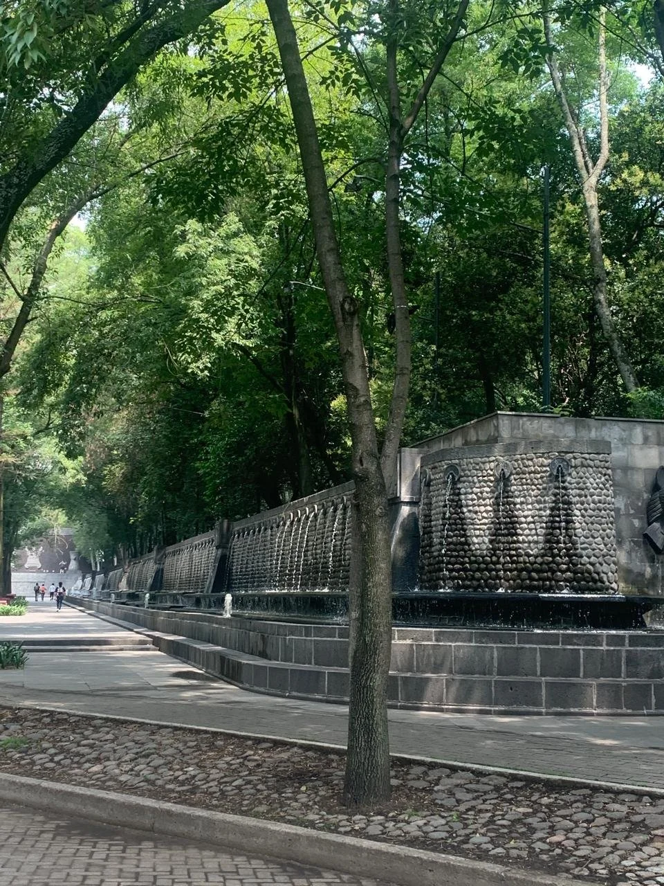 chapultepec (2).jpeg