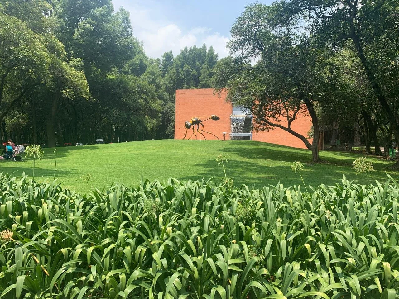 chapultepec (7).jpeg