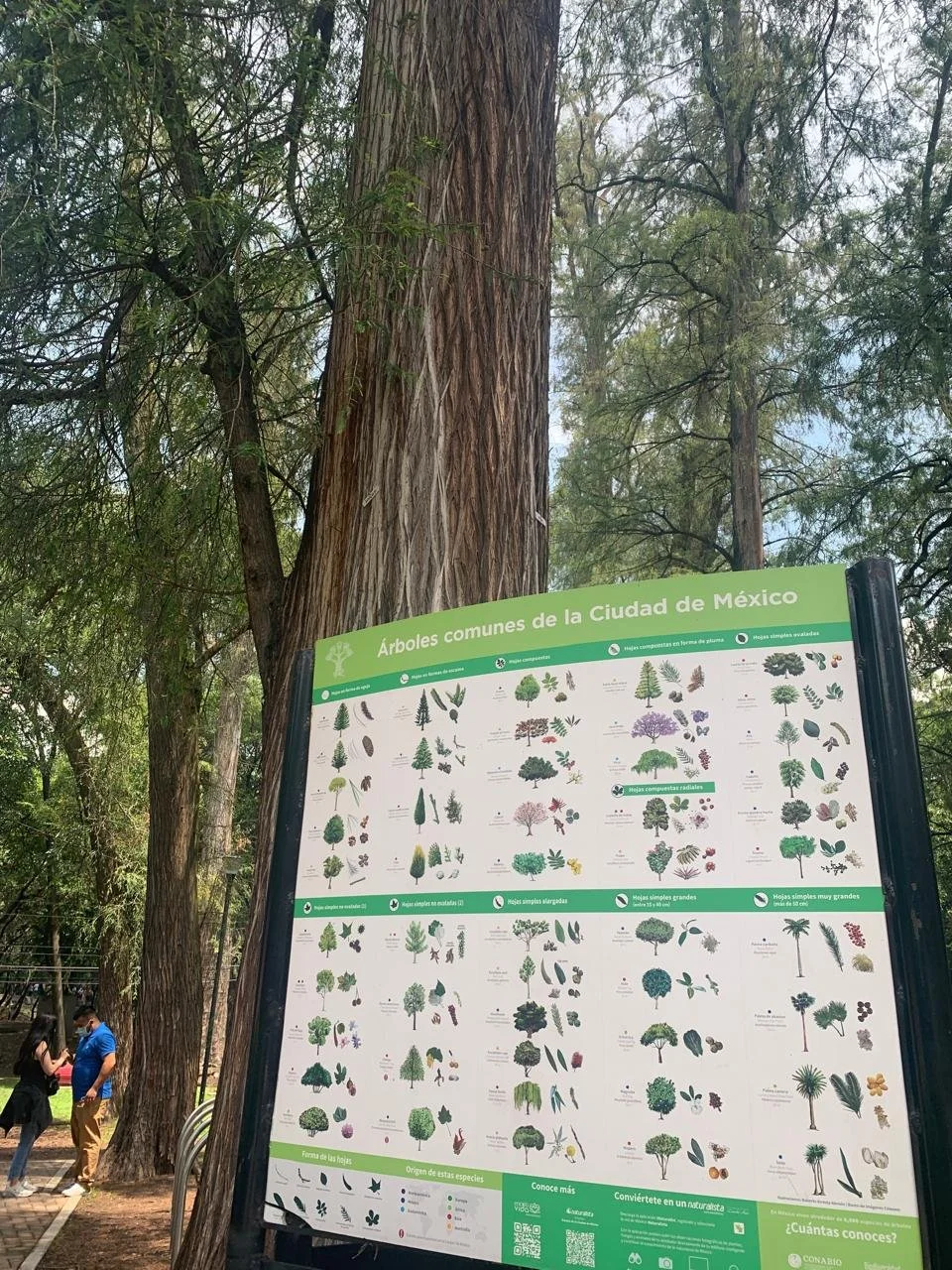 chapultepec (8).jpeg