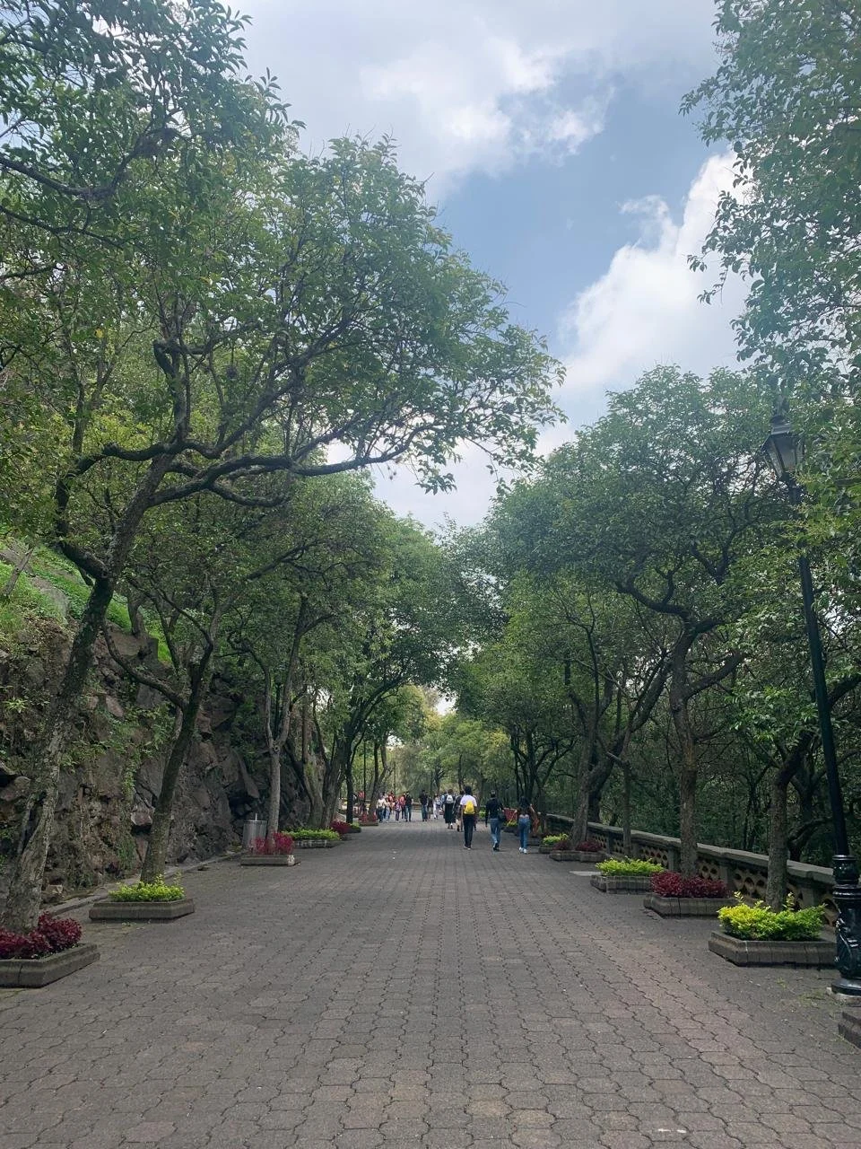 chapultepec (13).jpeg