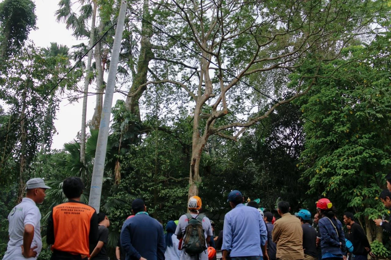Learning from the Trees: CONIFER at the Tree Work Safety Workshop ...