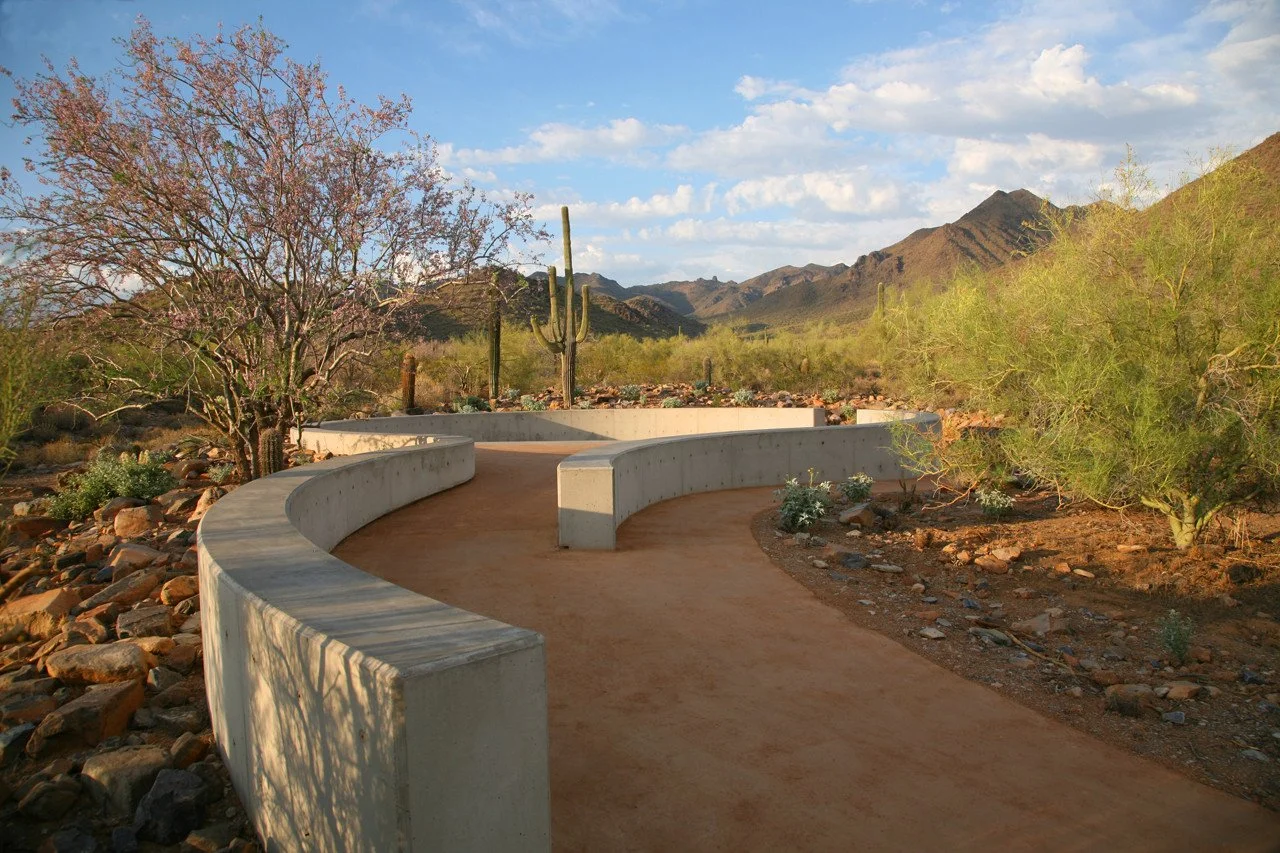 sonoran2.jpg