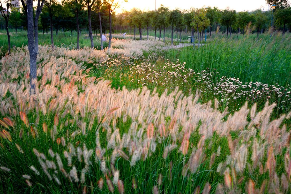 Tianjin Qiaoyuan by Turenscape, China