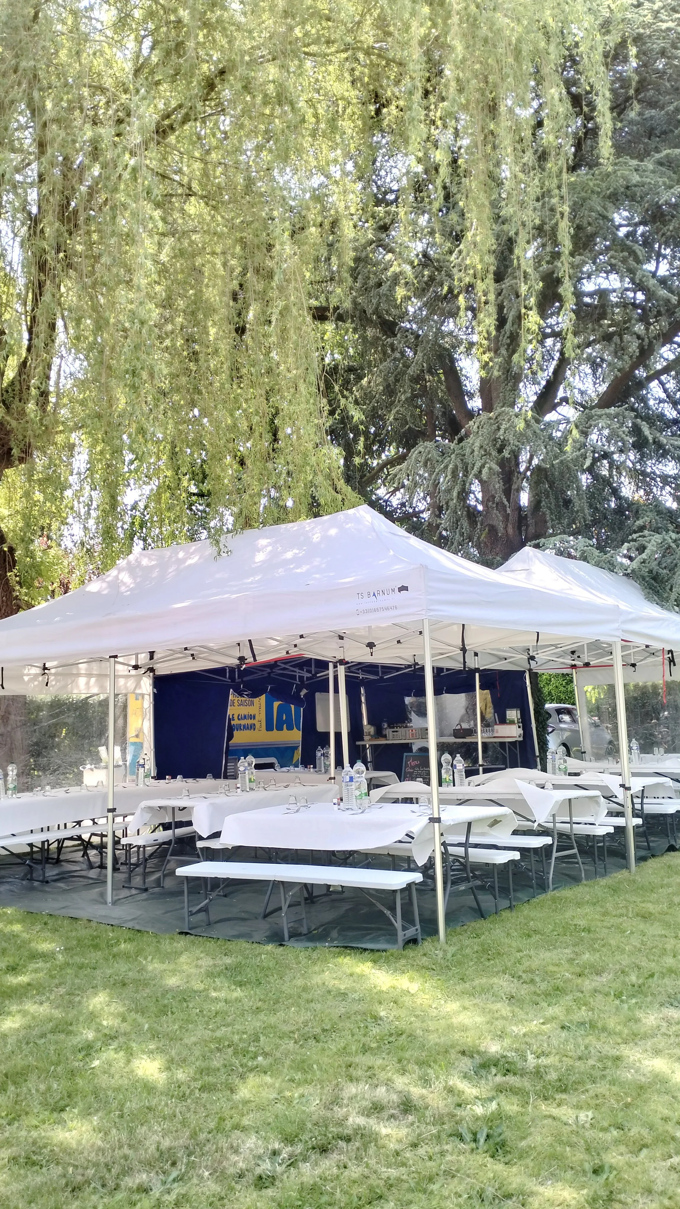 Un barnum en plein air avec des tables et des chaises recouvertes de nappes blanches, sous un grand arbre vert, probablement pour un événement ou un repas de groupe organisé par Faluch'truck