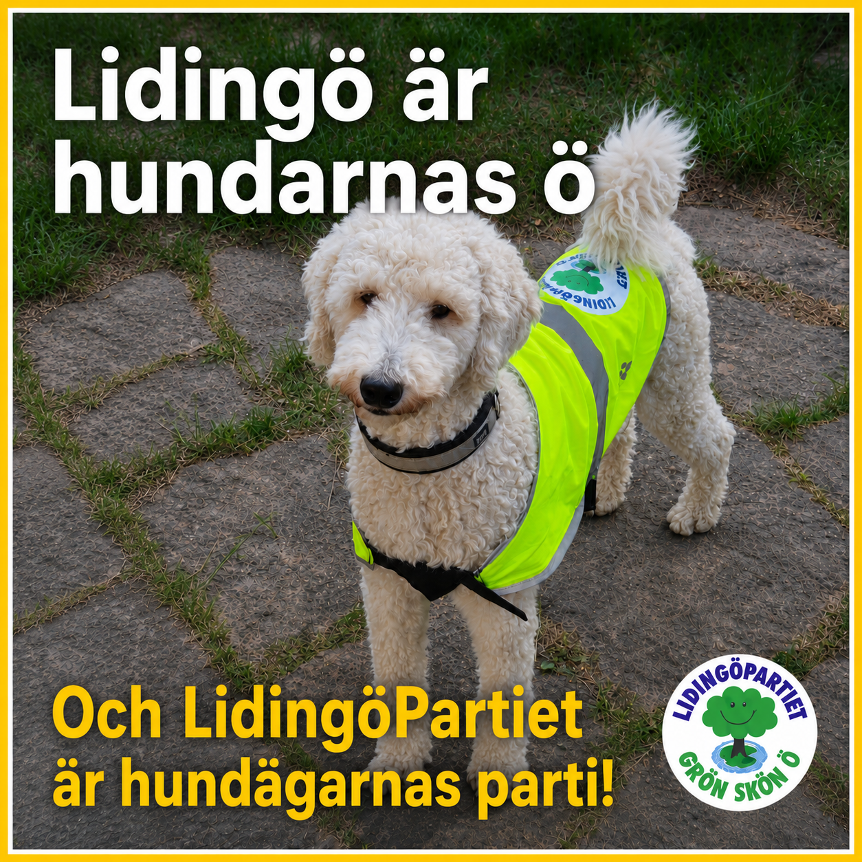 LIDINGÖ ÄR HUNDARNAS Ö!