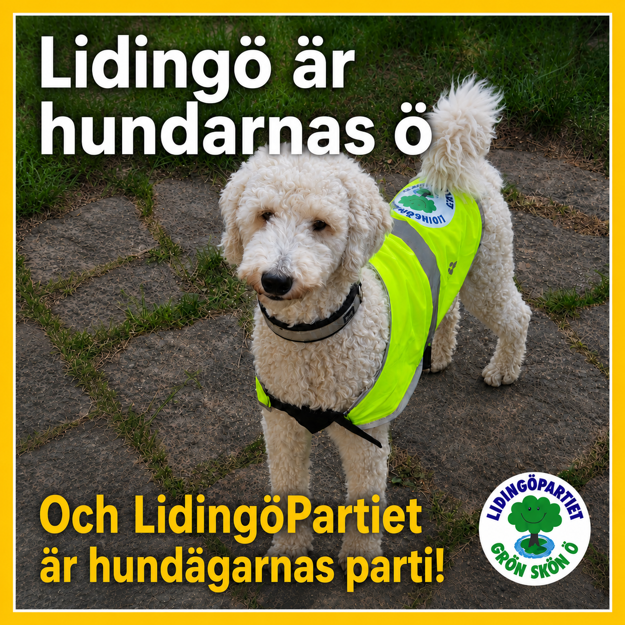 LIDINGÖ ÄR HUNDARNAS Ö!