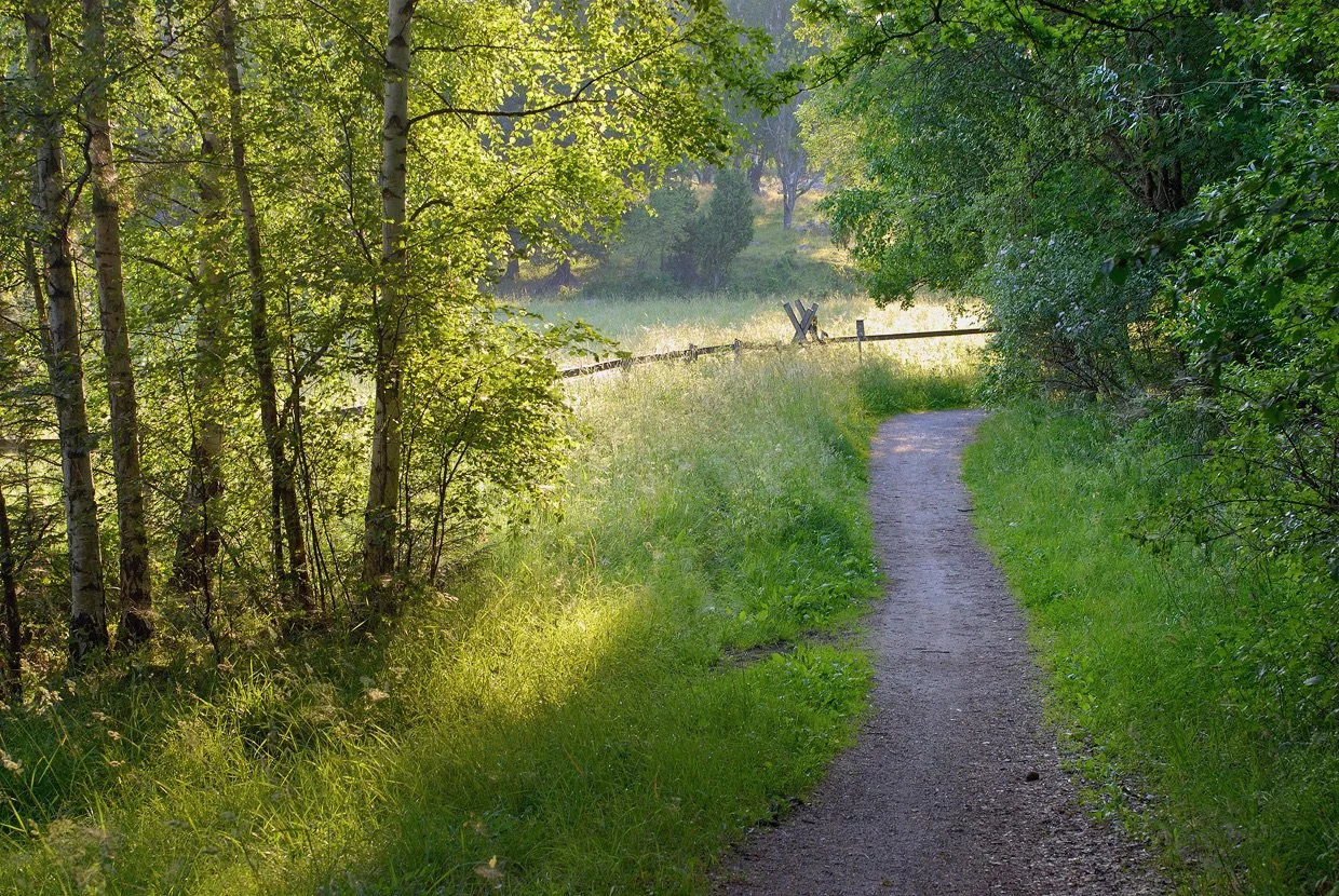 LidingöPartiets valsedel 2026 fastställd