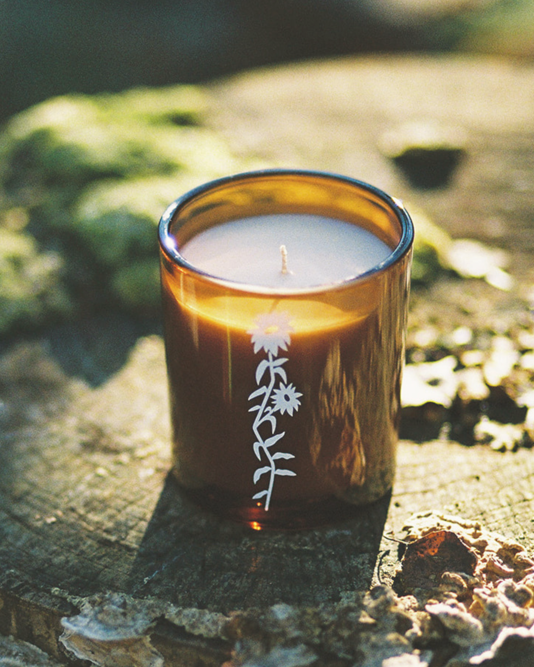 Grounding: lemon myrtle, pine, sandalwood & patchouli