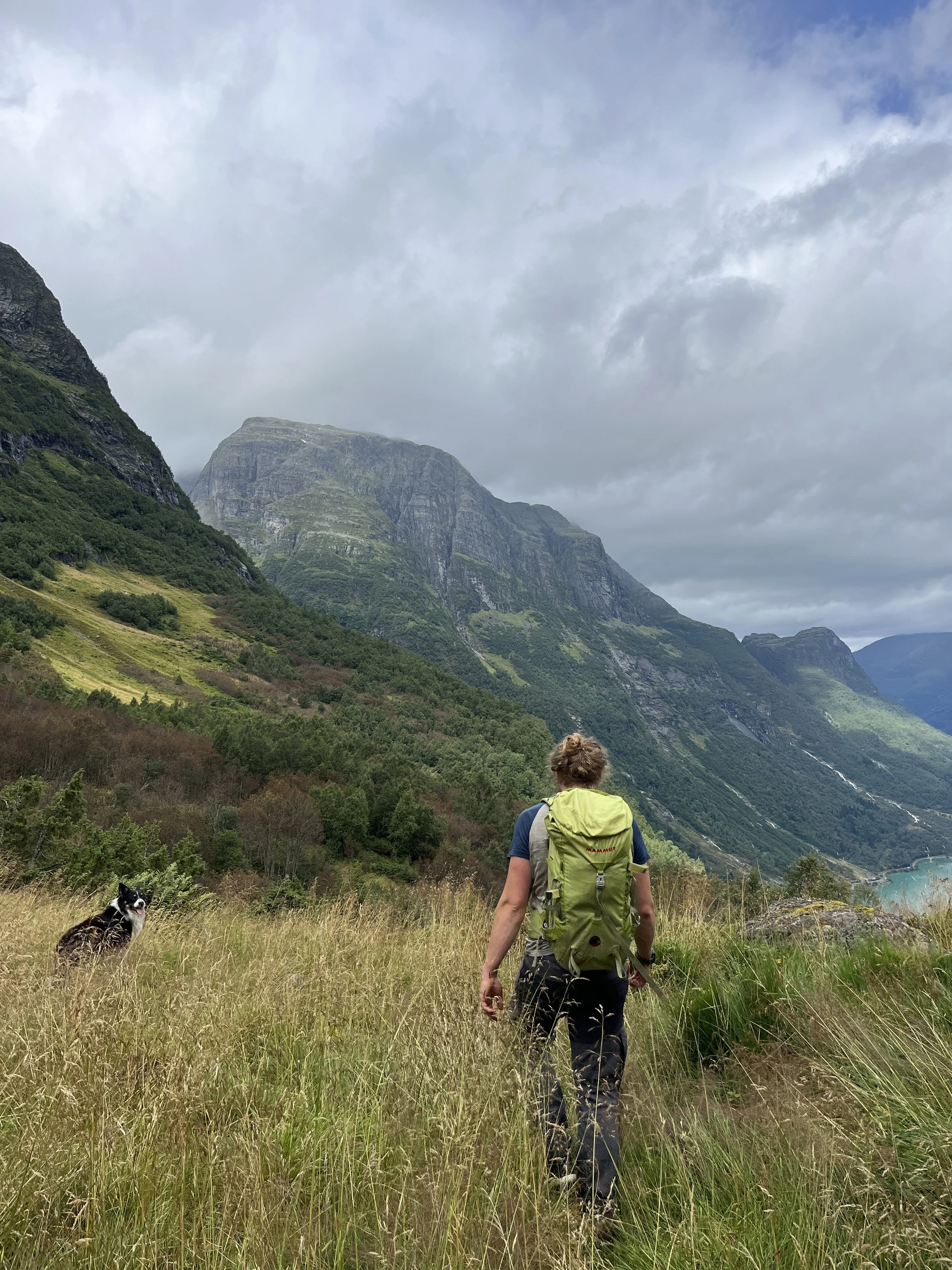 Hiker with green backpack walking through grassy field in mountainous landscape with a dog and cloudy skies.