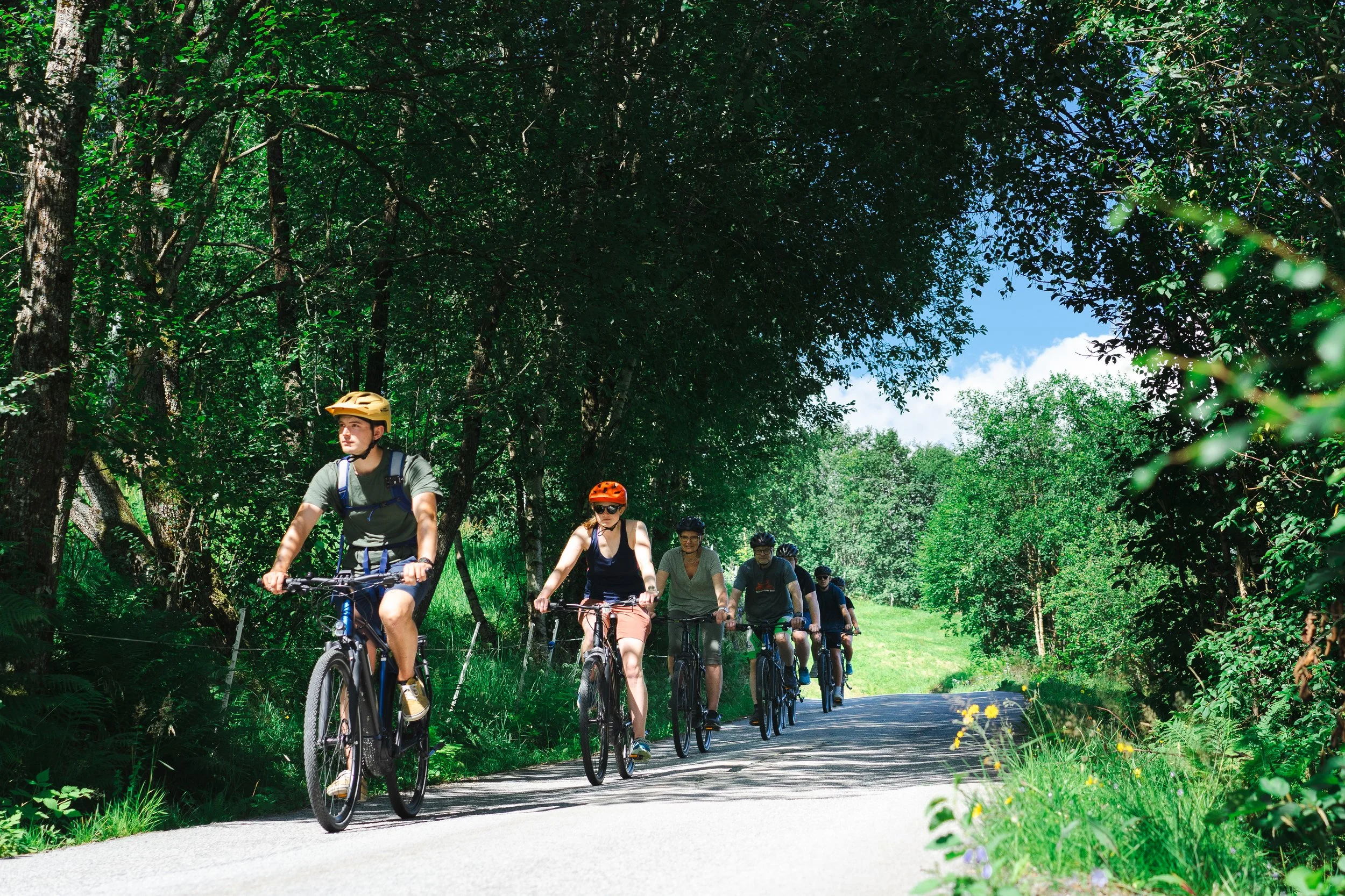 Group of six people biking on a paved path through a lush green forest on a sunny day.