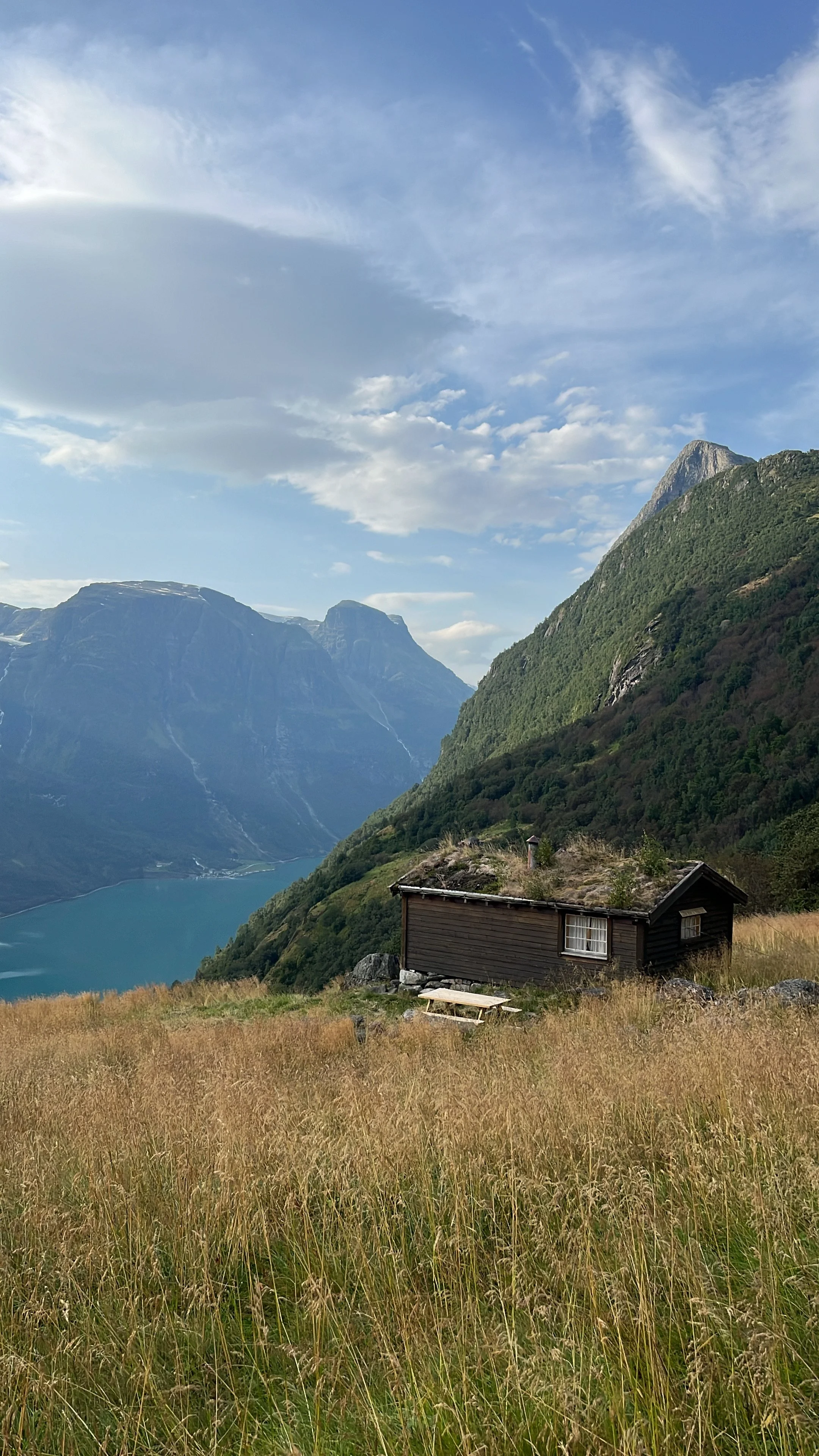 A small wooden cabin with a grass-covered roof is situated in a field of tall grass on a hillside, overlooking a fjord with steep mountain slopes in the background under a partly cloudy sky.