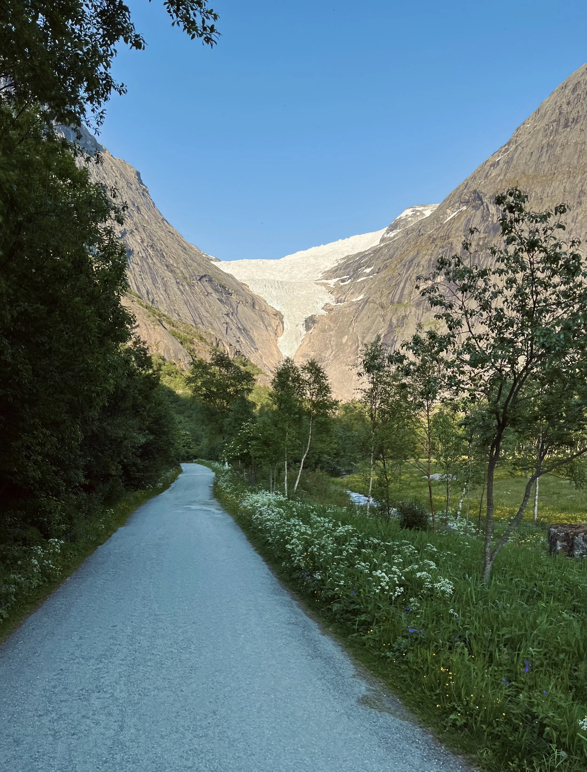 Can you visit Briksdal Glacier from cruise ship? Full guide