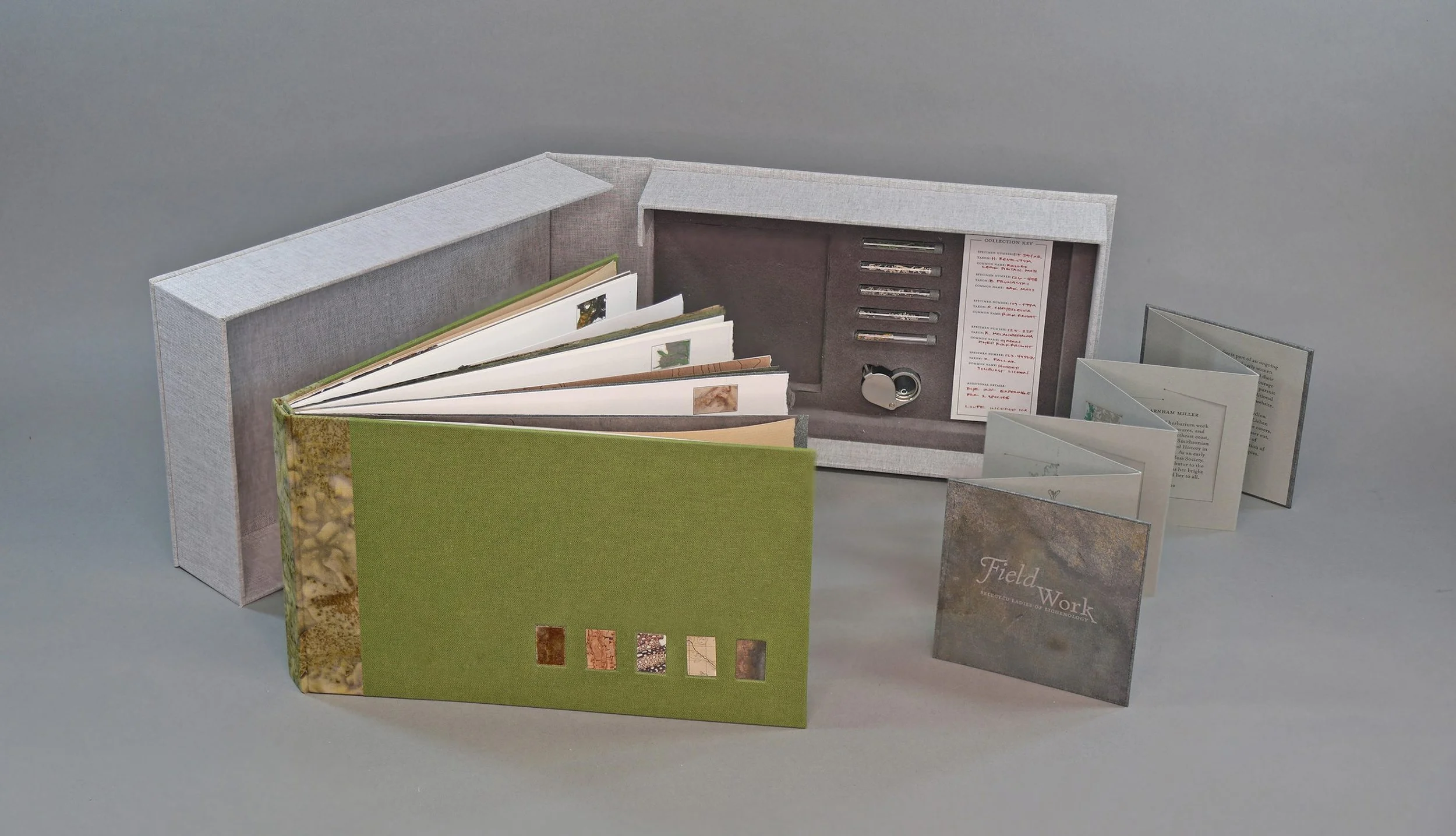 Rhiannon Alpers, “Lichen: Rambles in the Colorado Front Range”