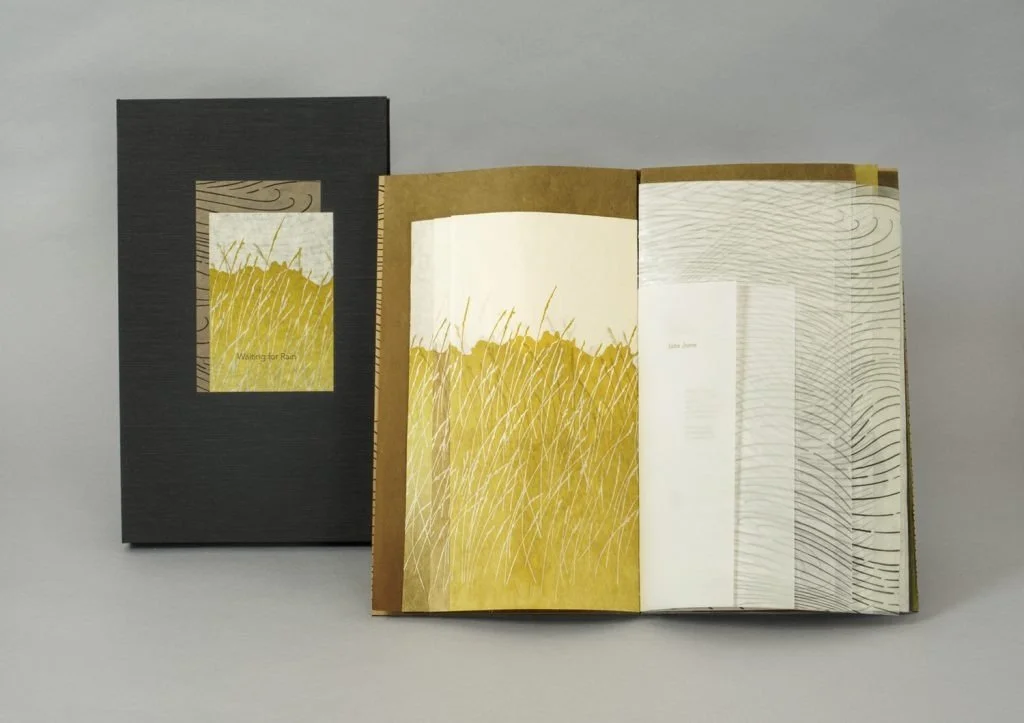 Macy Chadwick, “Waiting for Rain”