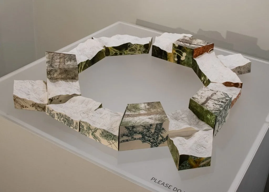 Leah Willemin, “Depth Capture”