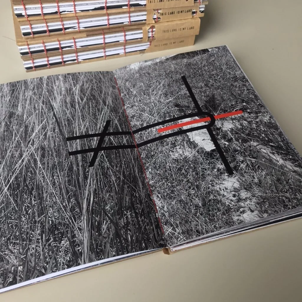 Thad Higa, “This Land Is My Land”