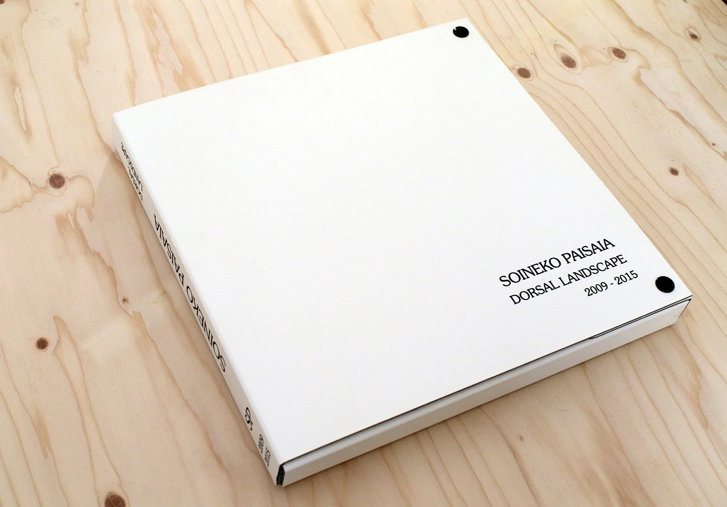 Nader Koochaki, “Soineko Paisaia / Dorsal Landscape 2009-2015”