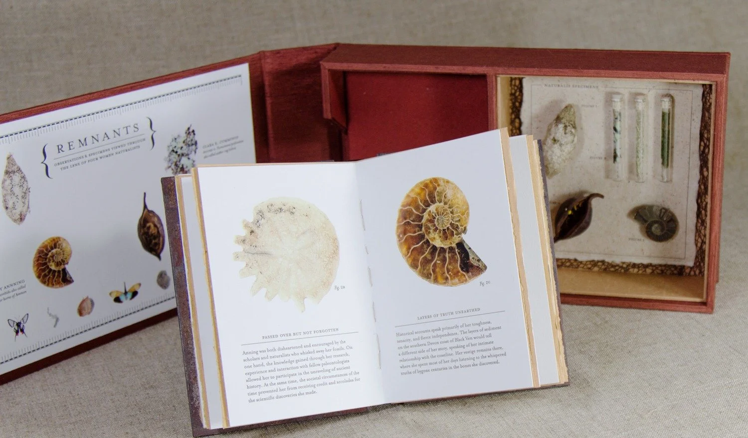  Book spread, macro photography, digital images and letterpress text 