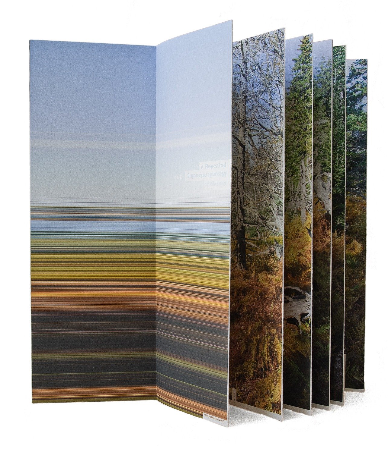  View of title page of Volume One of  A Repeated Misunderstanding of Nature.  