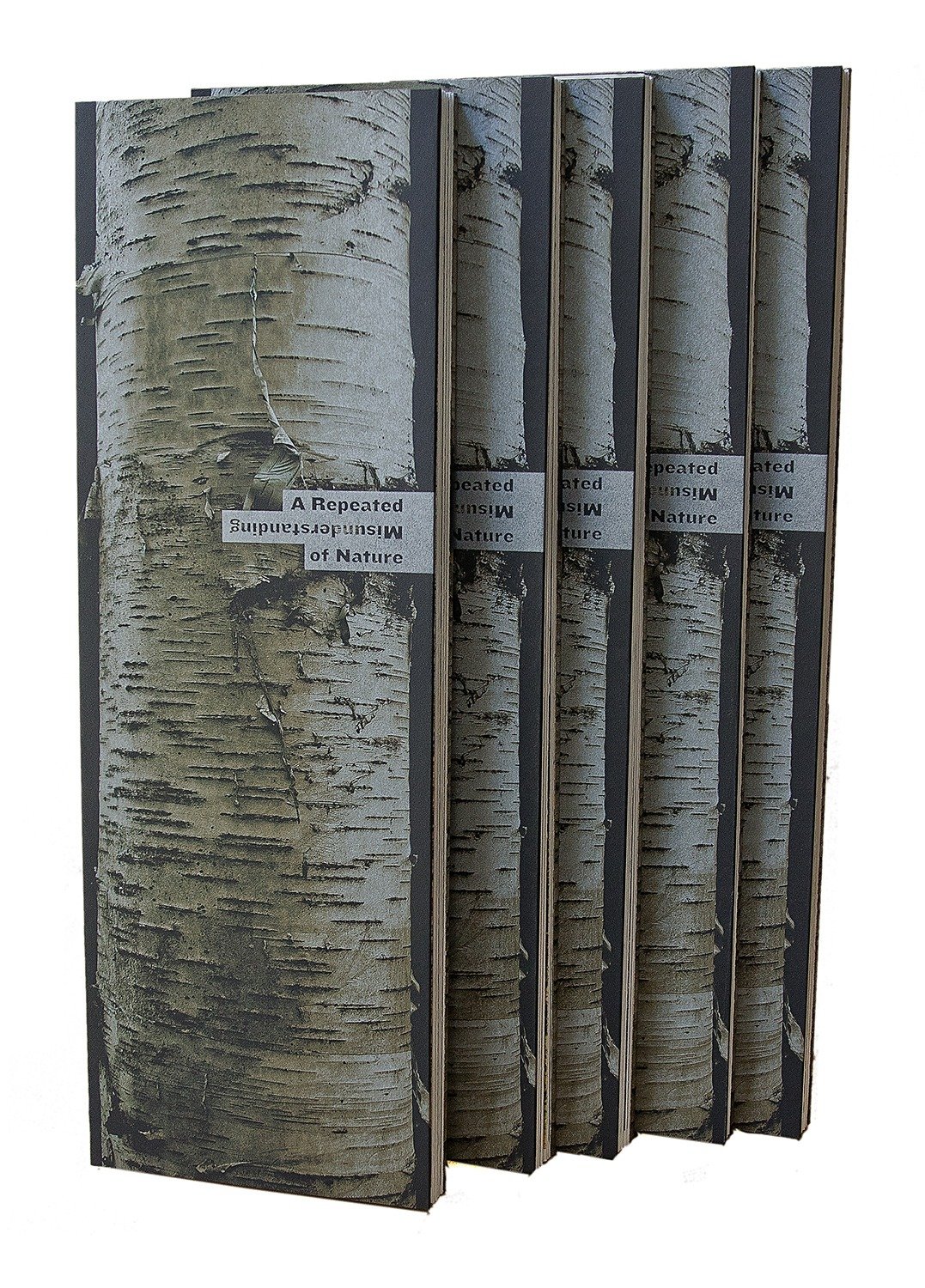  View of the covers of the five leporellos of  A Repeated Misunderstanding of Nature.  