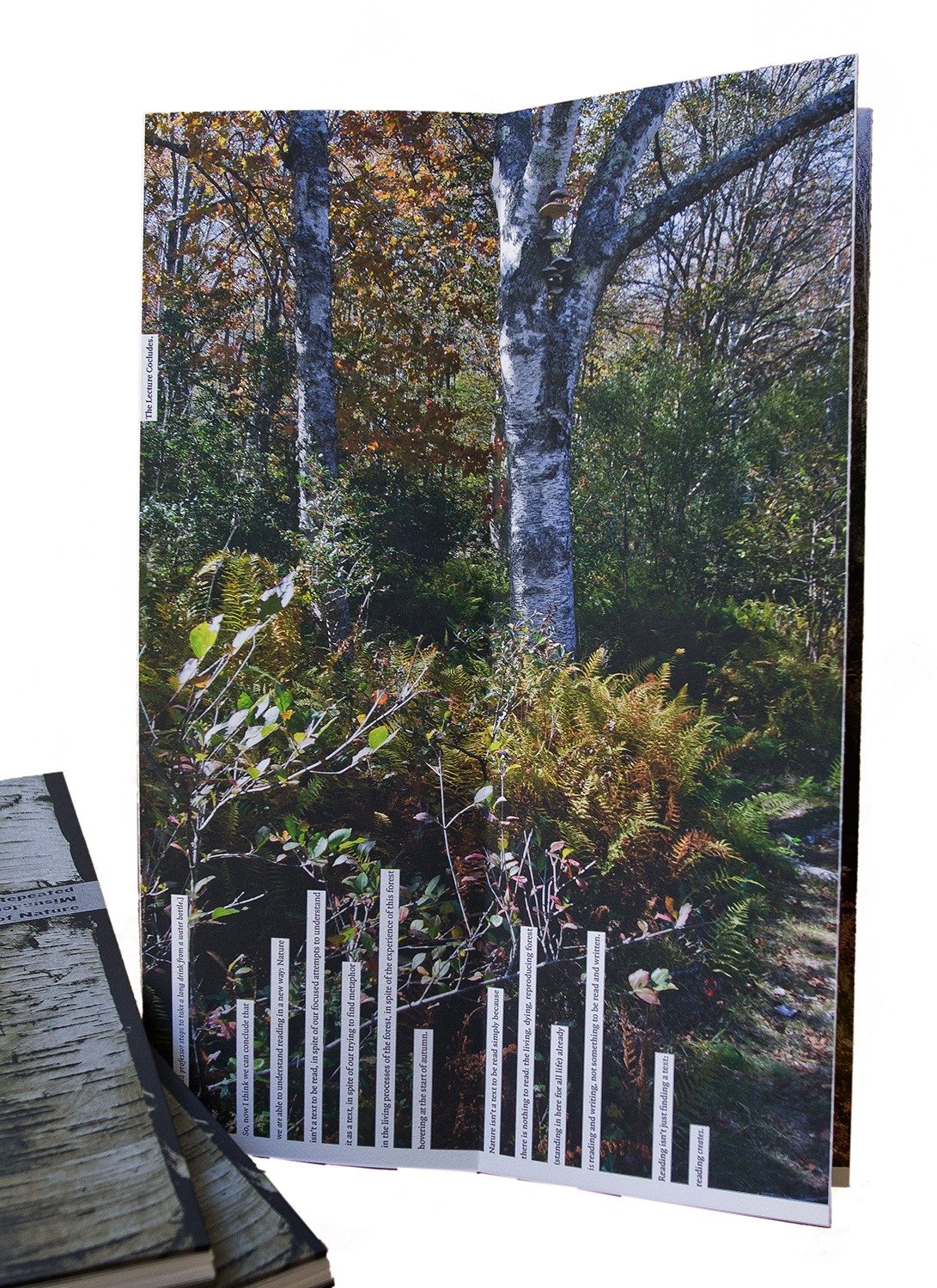  View of pages 3-4 of Volume Two of  A Repeated Misunderstanding of Nature.  