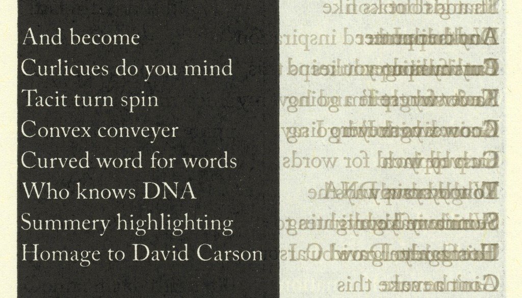  Detail showing the many layers of transparent gray text. 