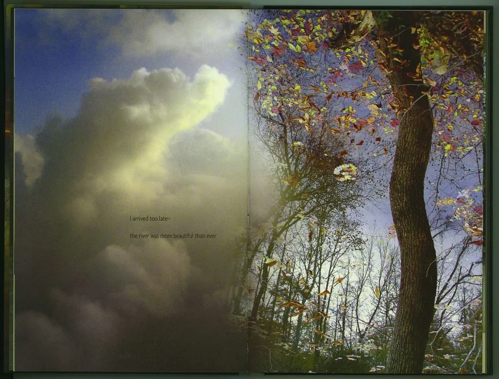  Pages 12-13. 