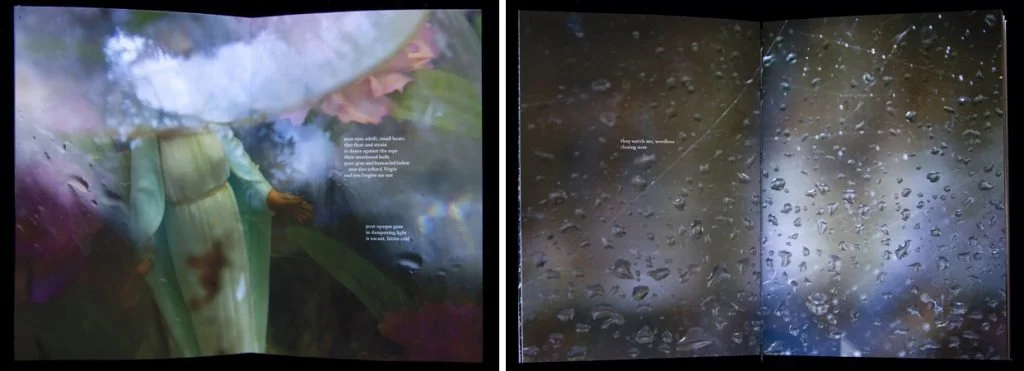 Ann Lovett, “Glass House”