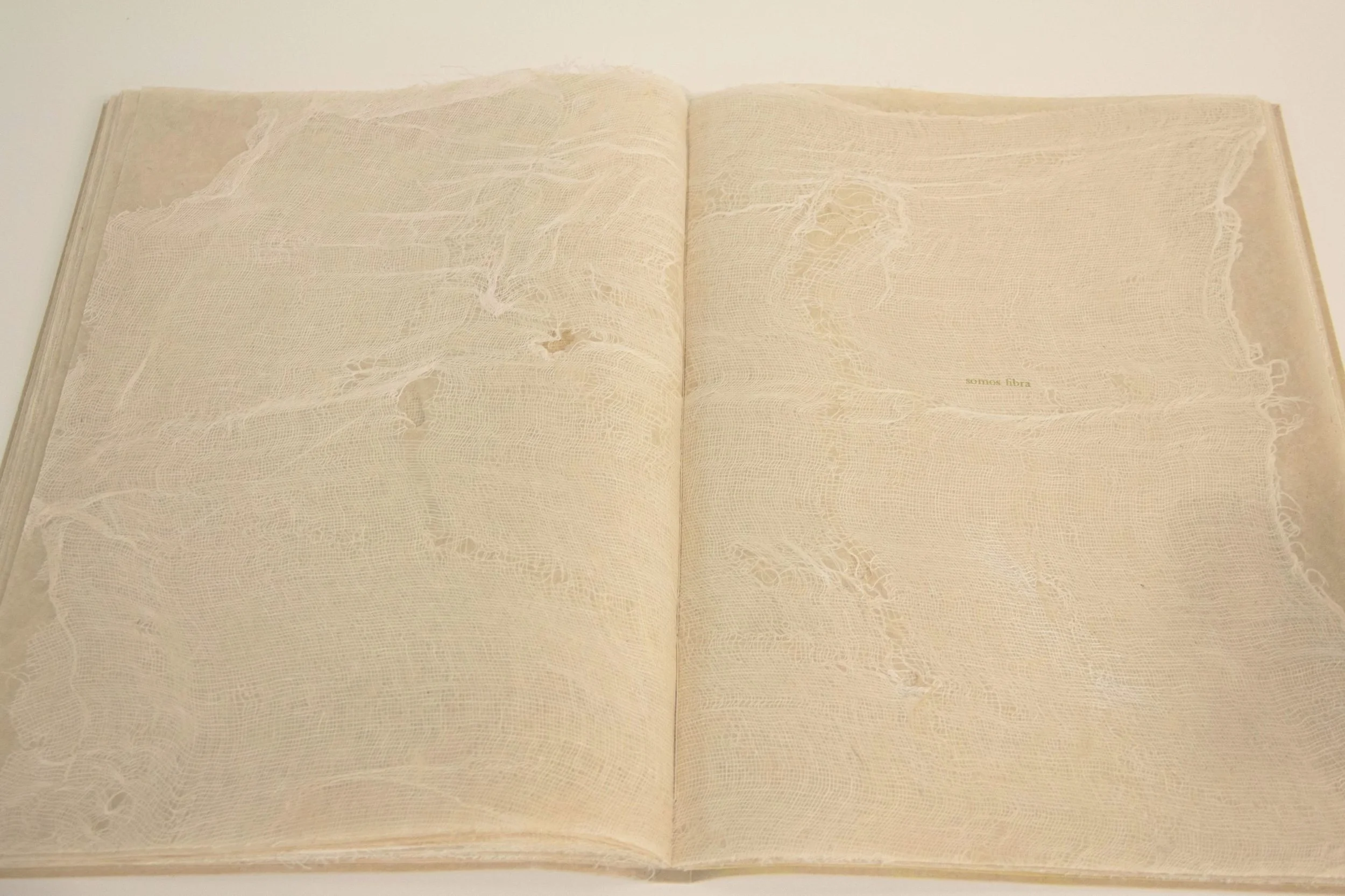 Jocmarys Viruet Feliciano