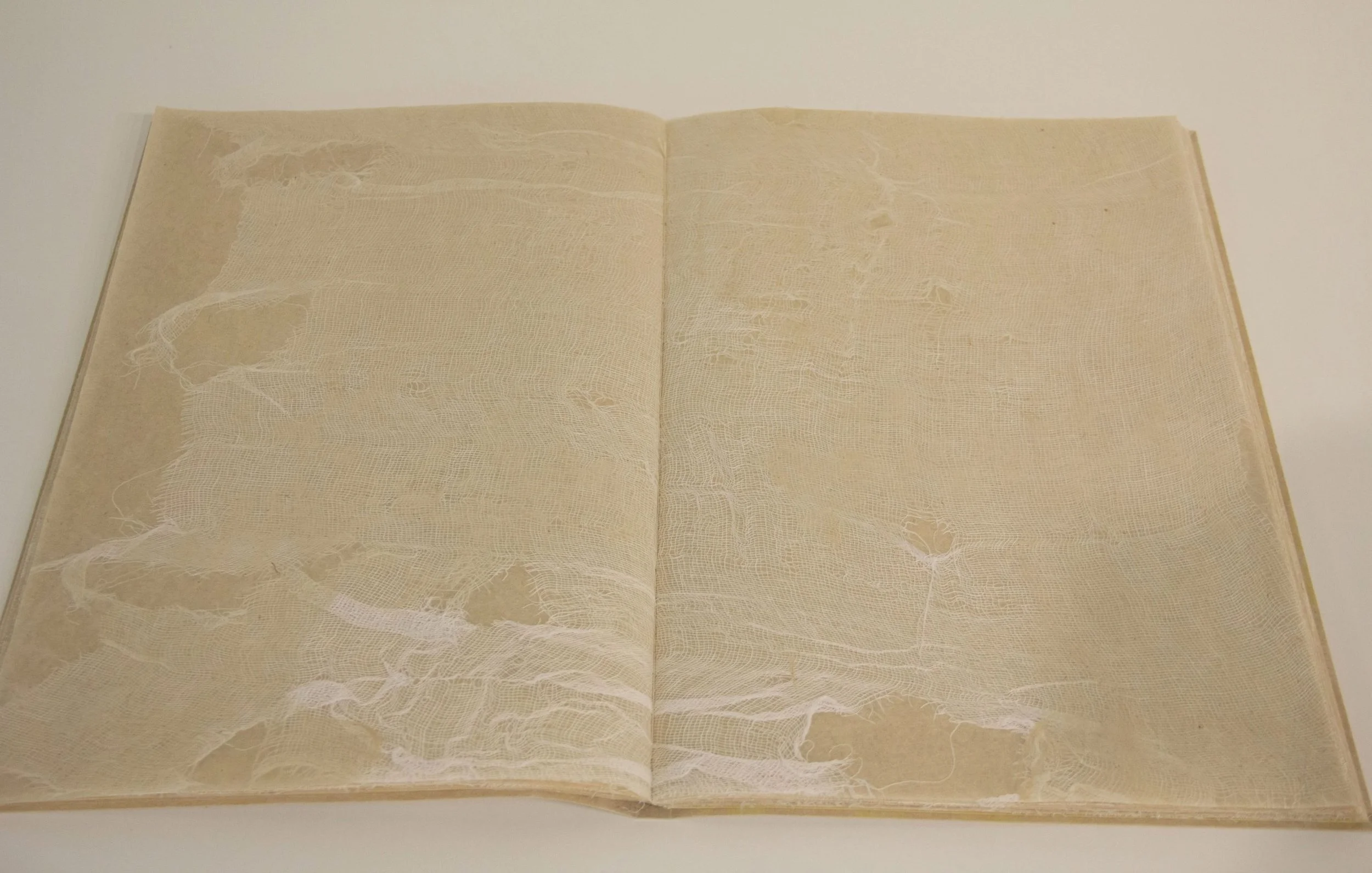 Jocmarys Viruet Feliciano