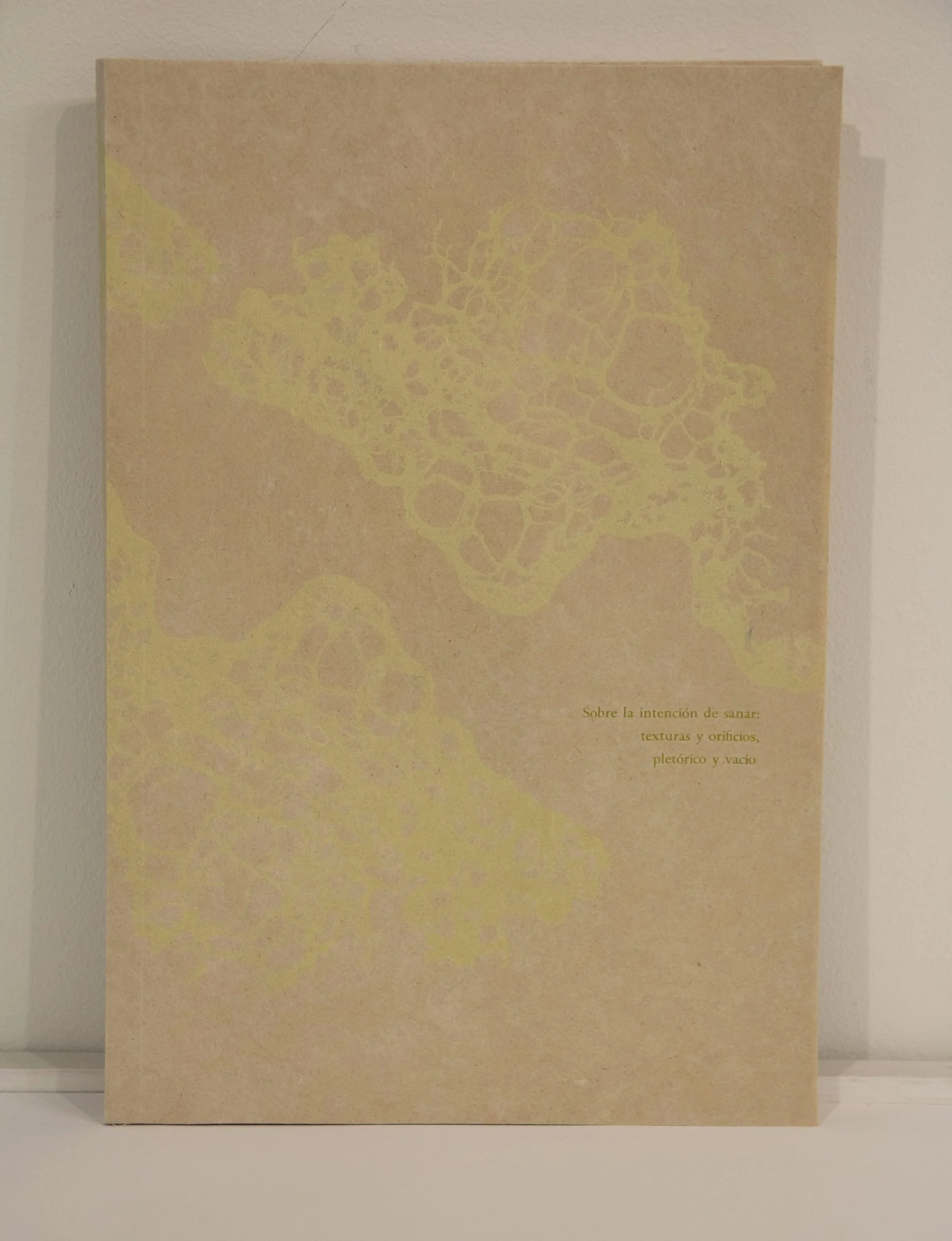 Jocmarys Viruet Feliciano