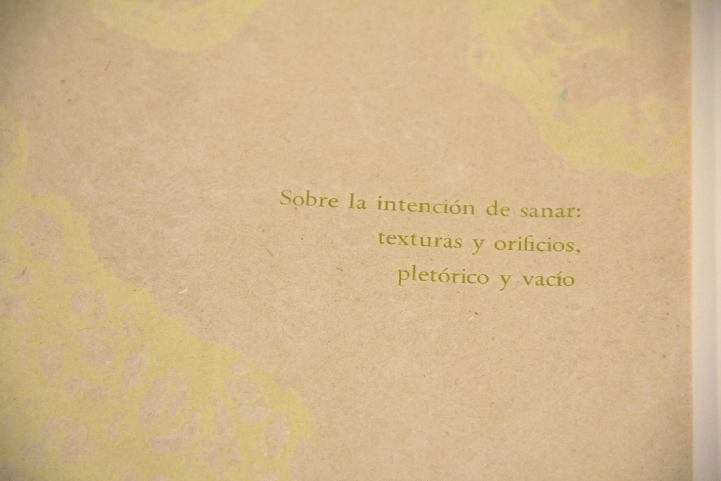 Jocmarys Viruet Feliciano